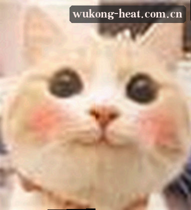 李娜